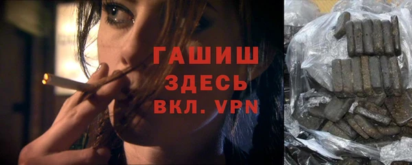 гашик Алексин