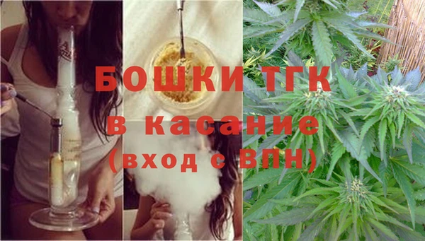 гашик Алексин