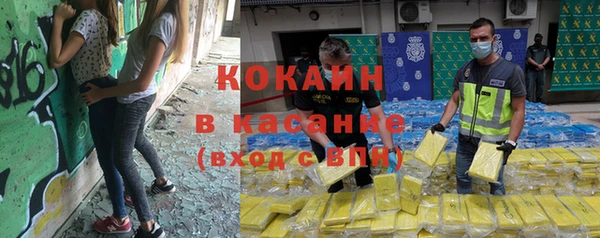 гашик Алексин